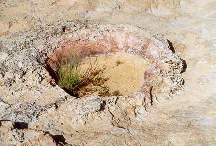 Klippen von Algar Seco, Carvoeiro