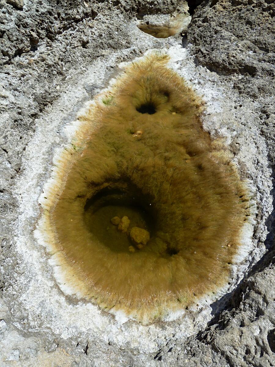 Carvoeiro - Algar Seco