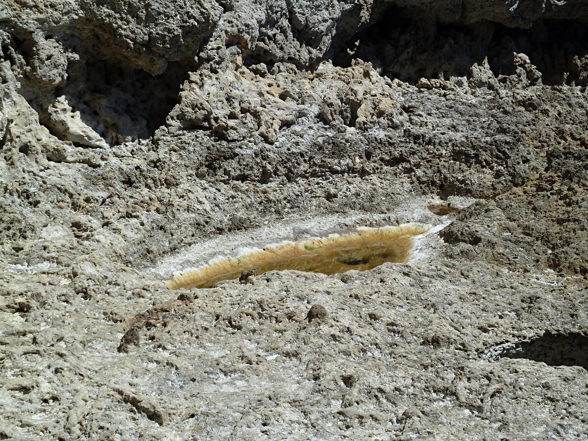 Carvoeiro - Algar Seco