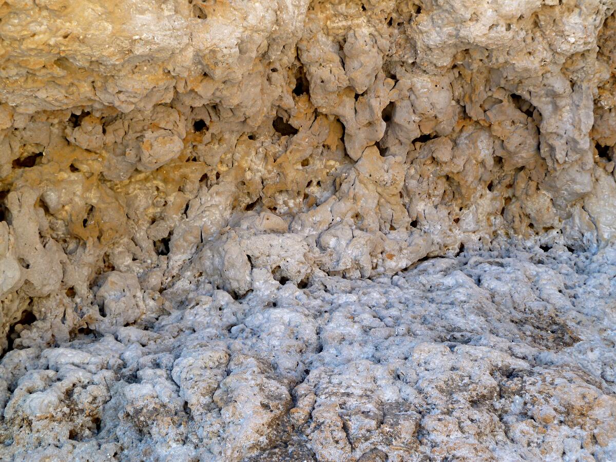 Carvoeiro - Algar Seco