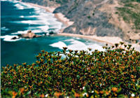 Vila do Bispo - Zistrosen (Blick vom Torre de Aspa)