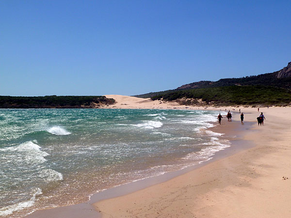 Bolonia - Duna de Bolonia