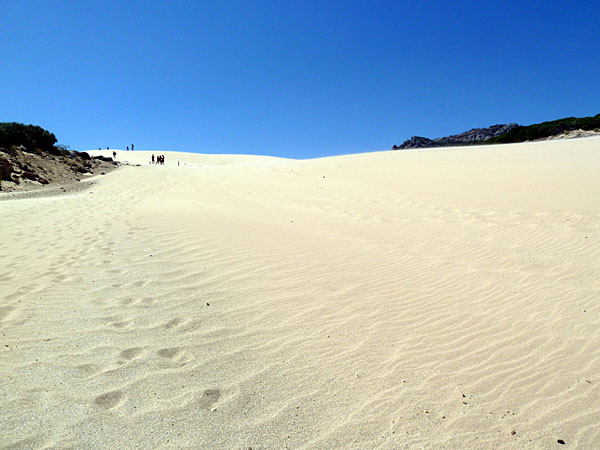 Bolonia - Duna de Bolonia