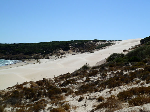 Bolonia - Duna de Bolonia