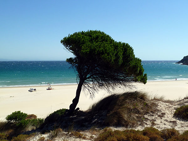 Bolonia - Strand von Bolonia