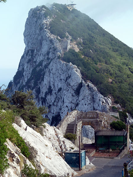 Gibraltar - Upper Rock Nature Reserve (mit Futterstelle der Makakenkolonie)