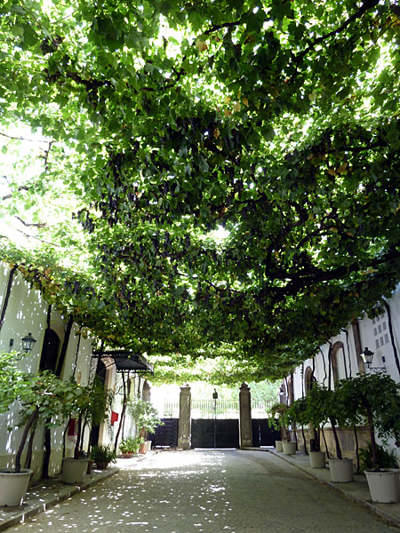 Jerez de la Frontera - Bodega Gonz�les Byass (Calle Emparrada - Spalierstra�e)