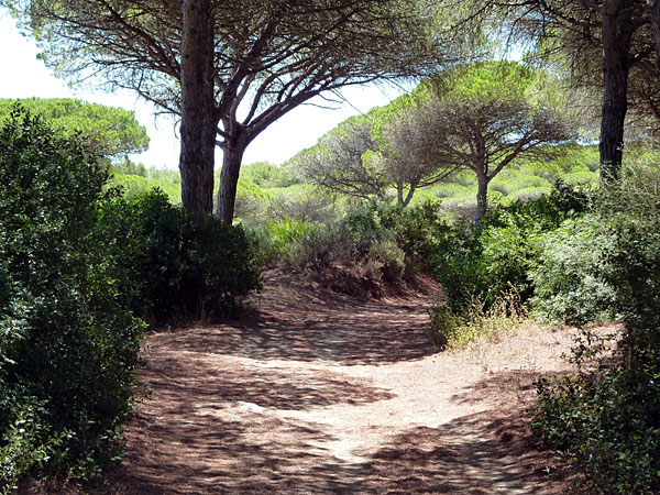 Barbate - Parque Natural La Bre�a y Marismas del Barbate