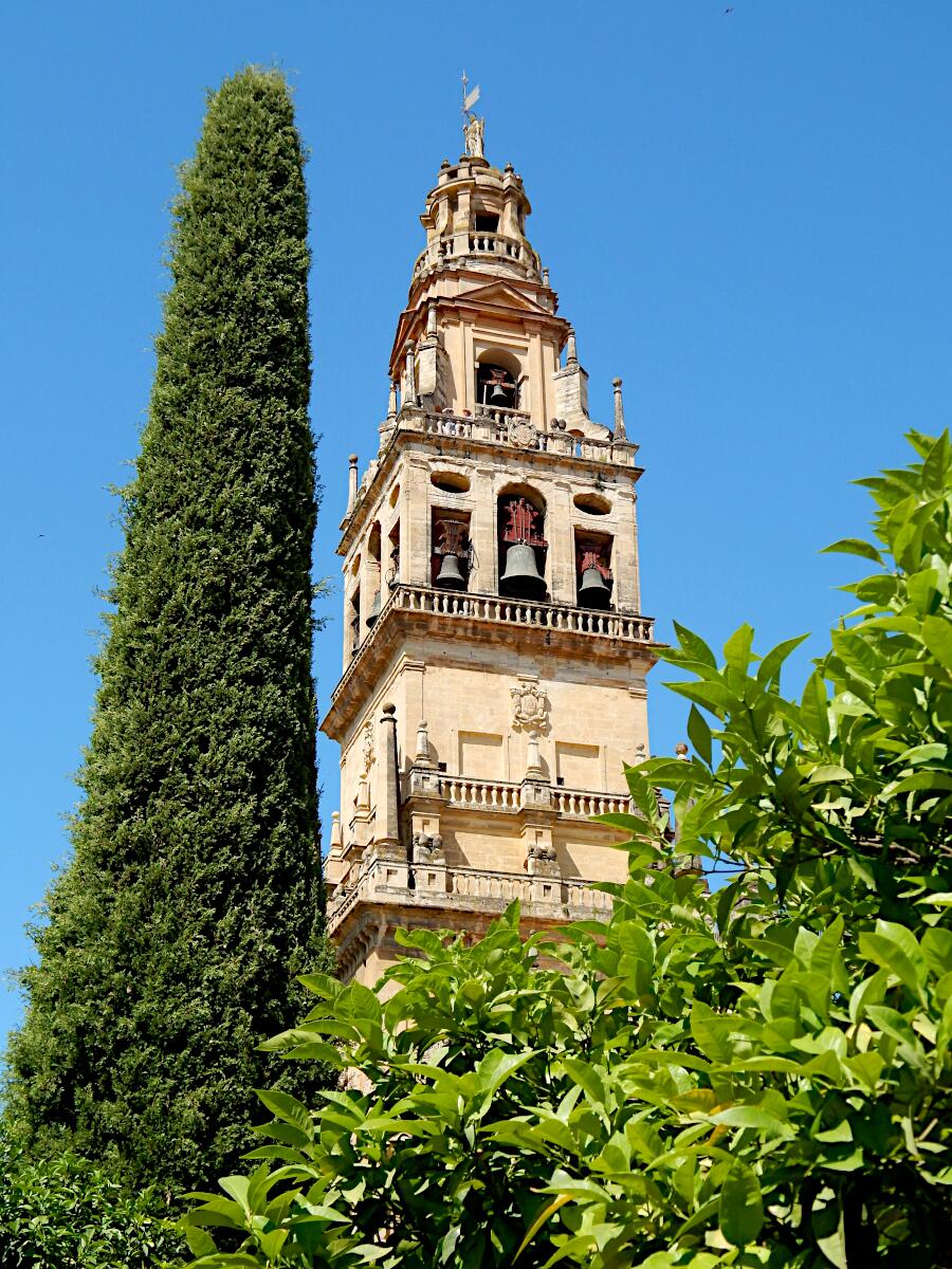 Mezquita-Catedral de C�rdoba (ab 785) - Patio de los Naranjos