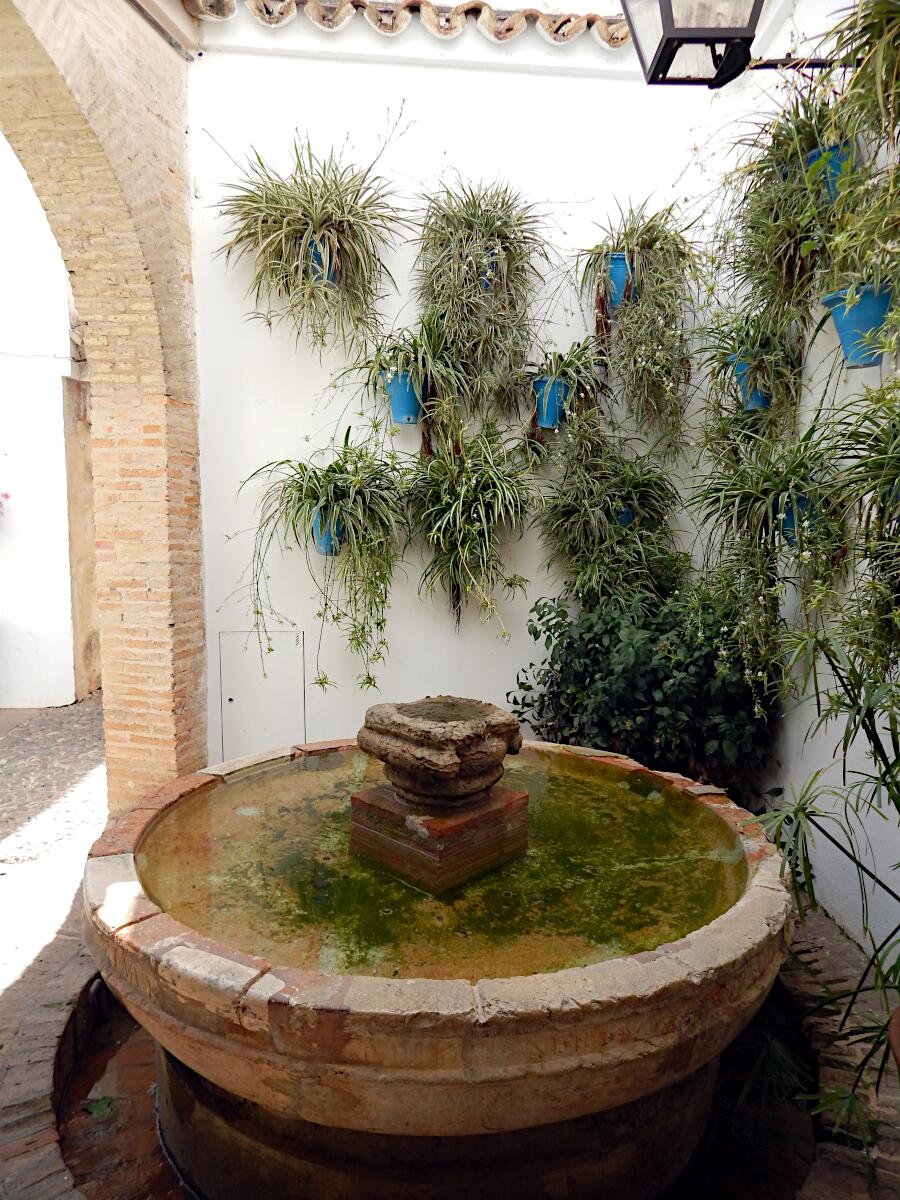 Patios de Cordoba - Calle Judios