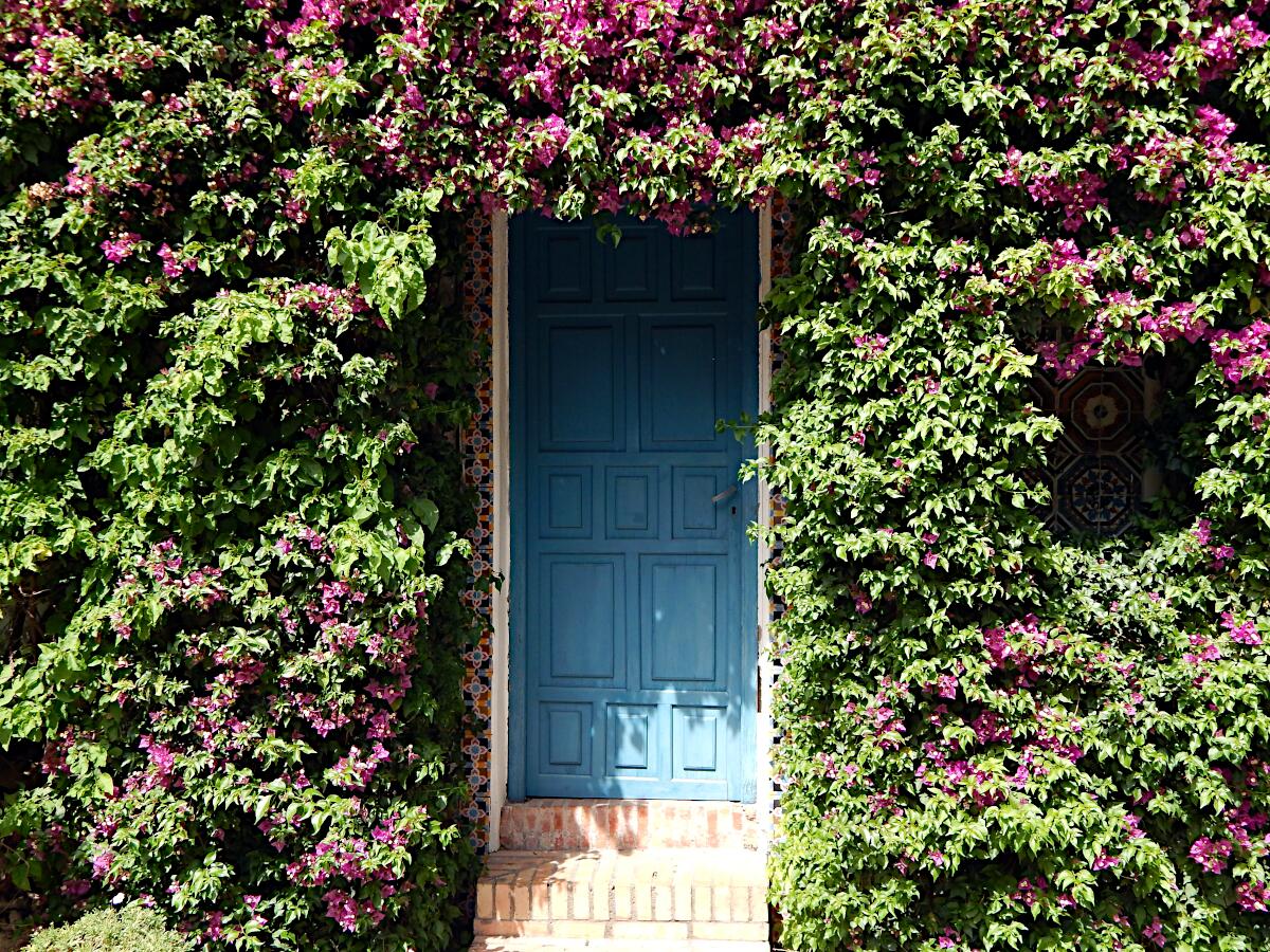 Palacio de Viana (15.-20. Jh.)