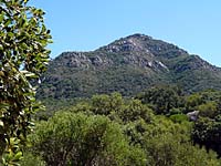 Parque Natural de los Alcornocales