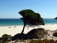 Bolonia - Strand von Bolonia