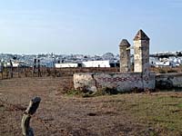 Conil de la Frontera - Viehtr�nke