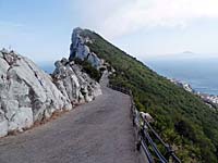 Gibraltar - Upper Rock Nature Reserve