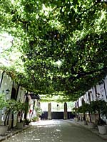 Jerez de la Frontera - Bodega Gonz�les Byass (Calle Emparrada - Spalierstra�e)