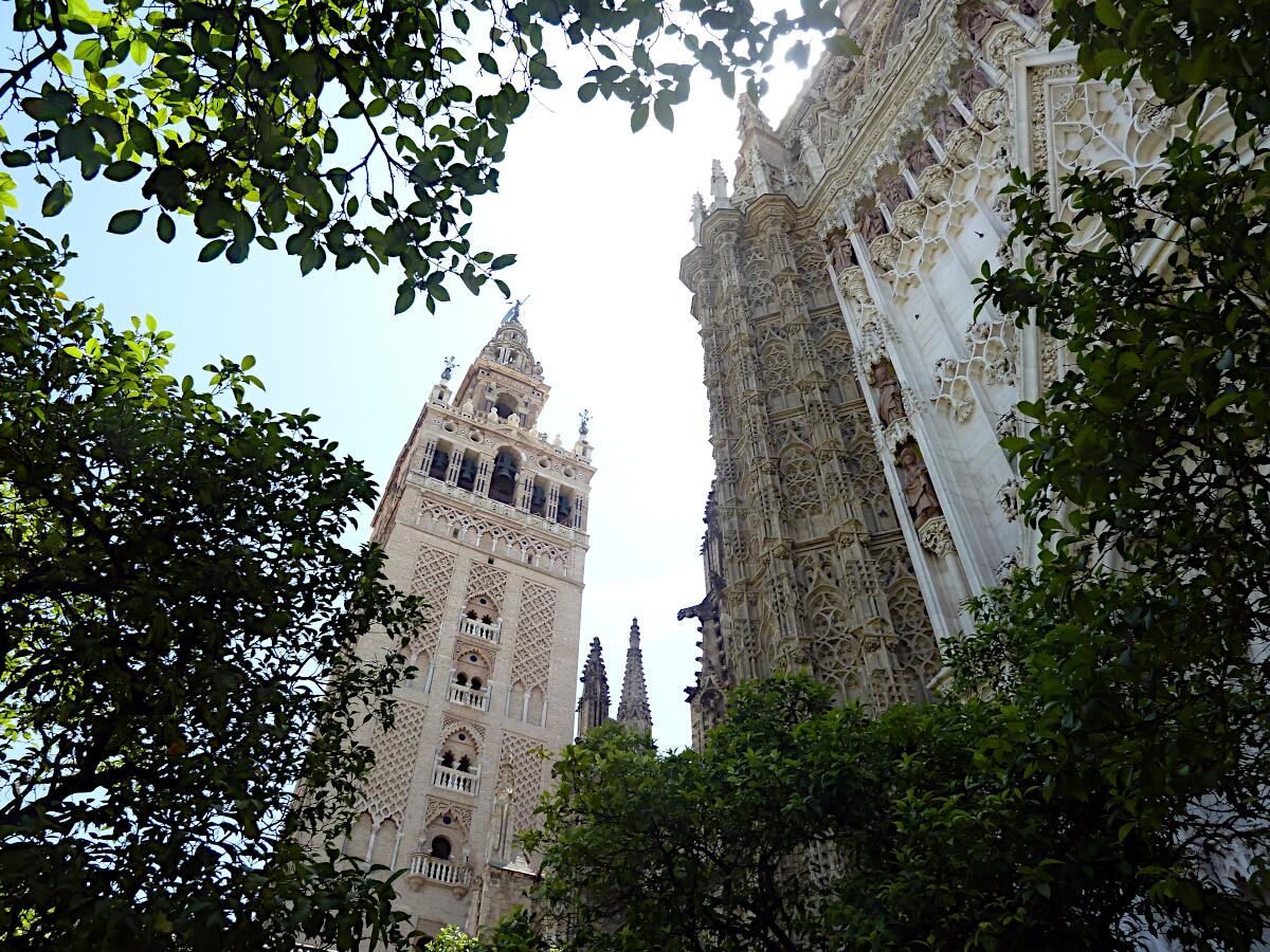 La Giralda (1196; 1568) mit Catedral de Santa Mara de la Sede (1401-1519)