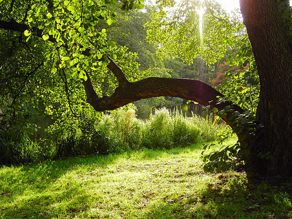 Schlopark Charlottenburg