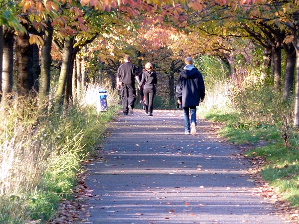 Berliner Mauerweg - Zierkirschenallee