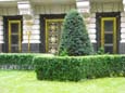 Unter den Linden - Russische Botschaft