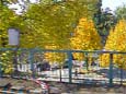 U-Bahnfahrt zum Prenzlauer Berg