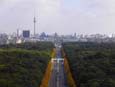 Tiergarten - Blickrichtung Mitte