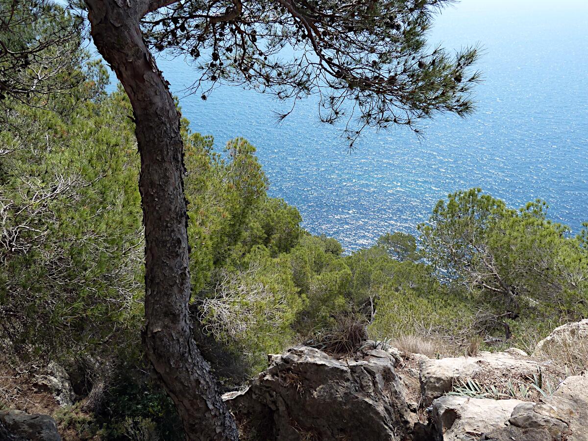 X�bia - Mirador de la Granadella