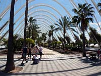 Valencia - CAC (L'Umbracle)