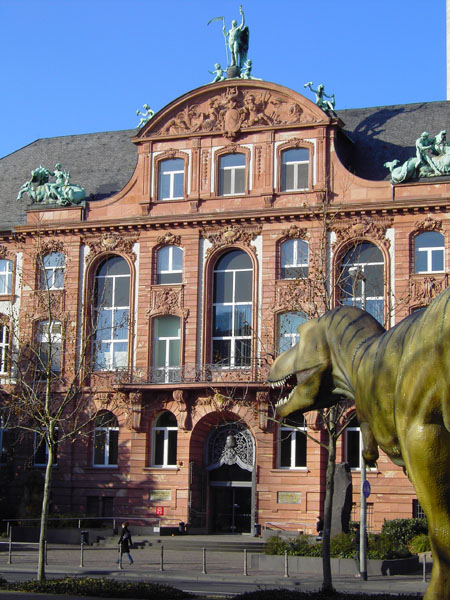 Senckenbergmuseum (1904-07)