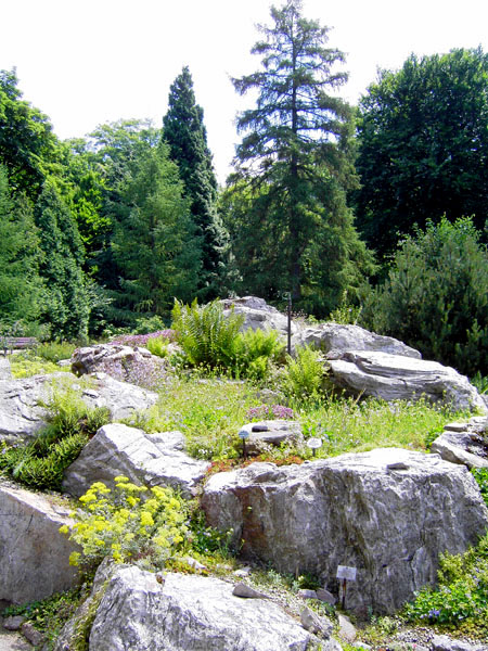 Botanischer Garten - Alpinum