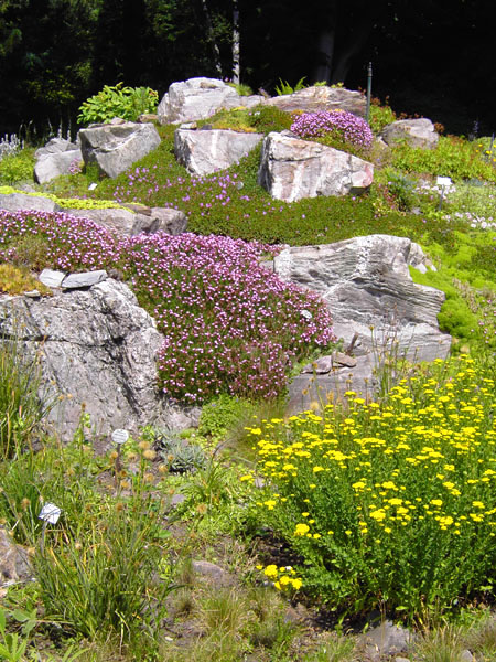Botanischer Garten - Alpinum
