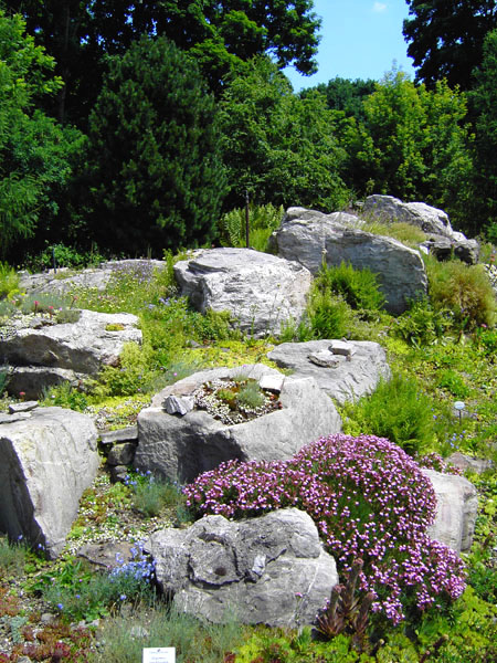 Botanischer Garten - Alpinum