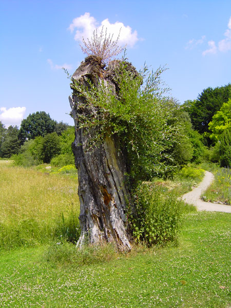 Botanischer Garten