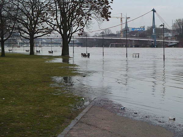 Mainufer an der Friedensbr�cke (18. Januar)