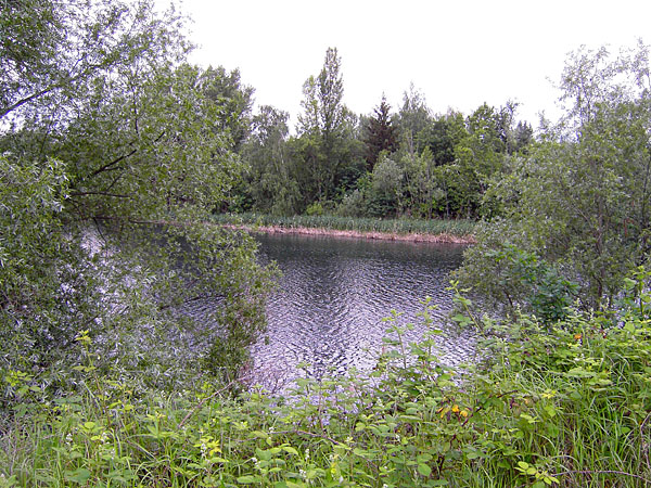 Naturschutzgebiet Schwanheimer D�ne - Schmitt'sche Sandgrube