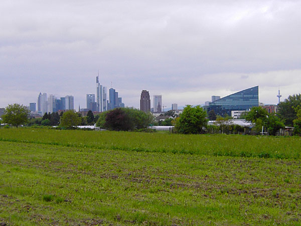 Skylineblick von den Gem�sefeldern