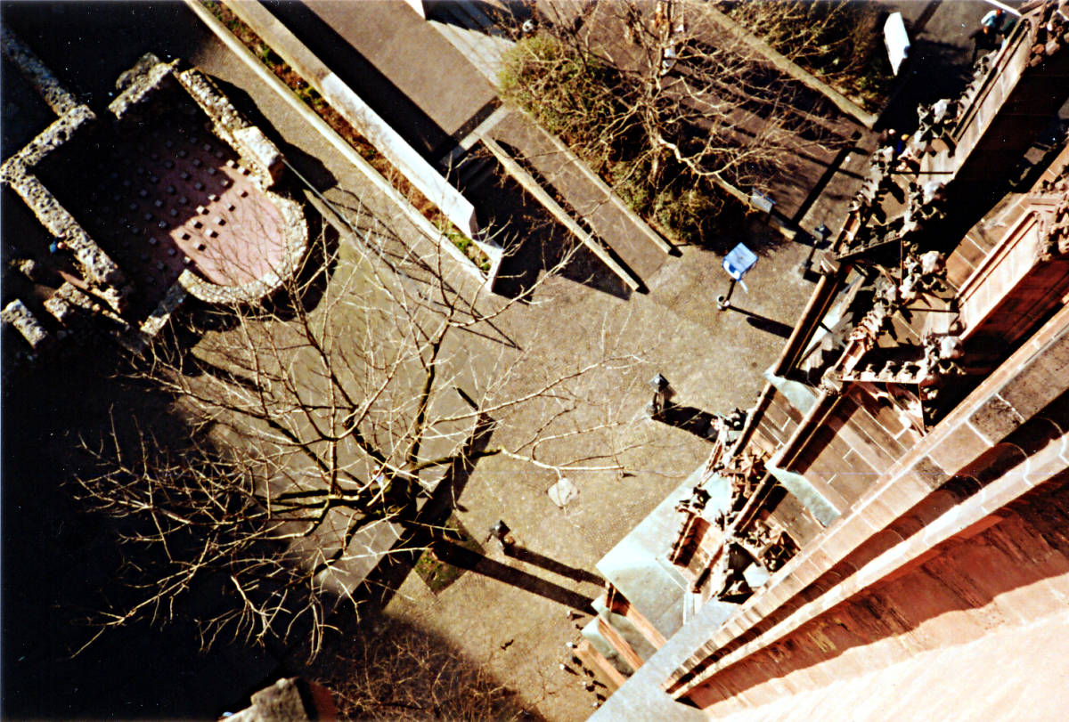 Dom - Blick auf den arch�ologischen Garten