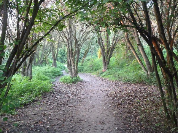 Sinaipark - Sinai-Wildnis