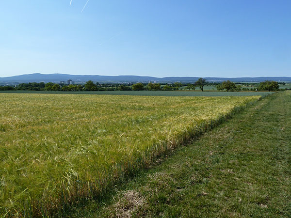 Grenzweg zu Preungesheim