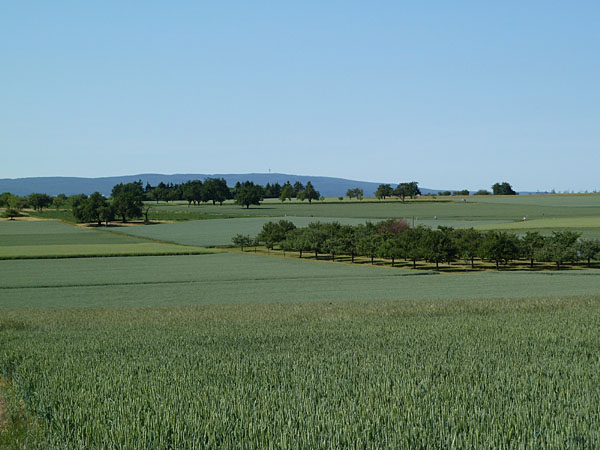 Blick auf Berkersheimer Streuobstwiesen