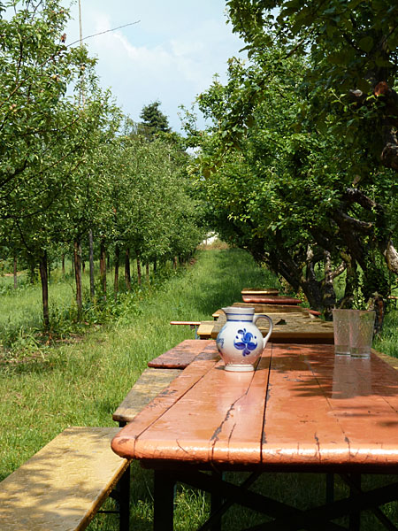 Obsthof Schneider am Steinberg