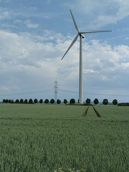 Windrad auf dem Sch�ferk�ppel (Karben-Kloppenheim)