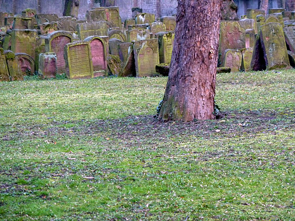 Alter j�discher Friedhof (ab 13.Jh.)