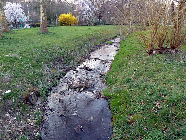 Louisa - K�nigsbach