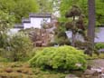 Chinesischer Garten