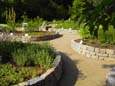 Botanischer Garten - Neuer Senckenbergischer Arzneipflanzengarten