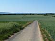 Feldweg nach Berkersheim