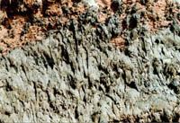 Timanfaya2_Tropflava