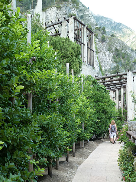 Limone sul Garda - Limonaia del Cast�l (restaurierter Zitronengarten mit Museum)