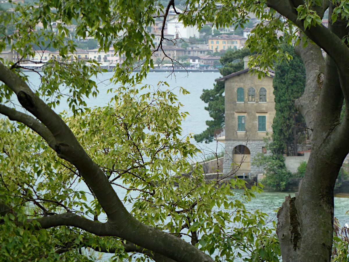 Limonaia della N�a